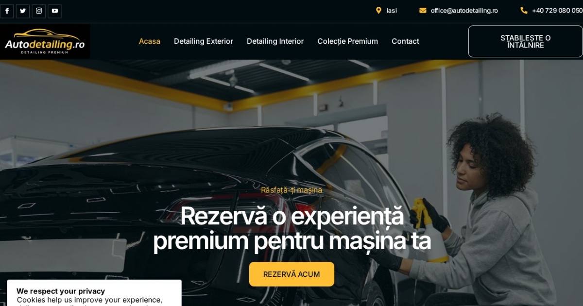 Auto Detailing preview